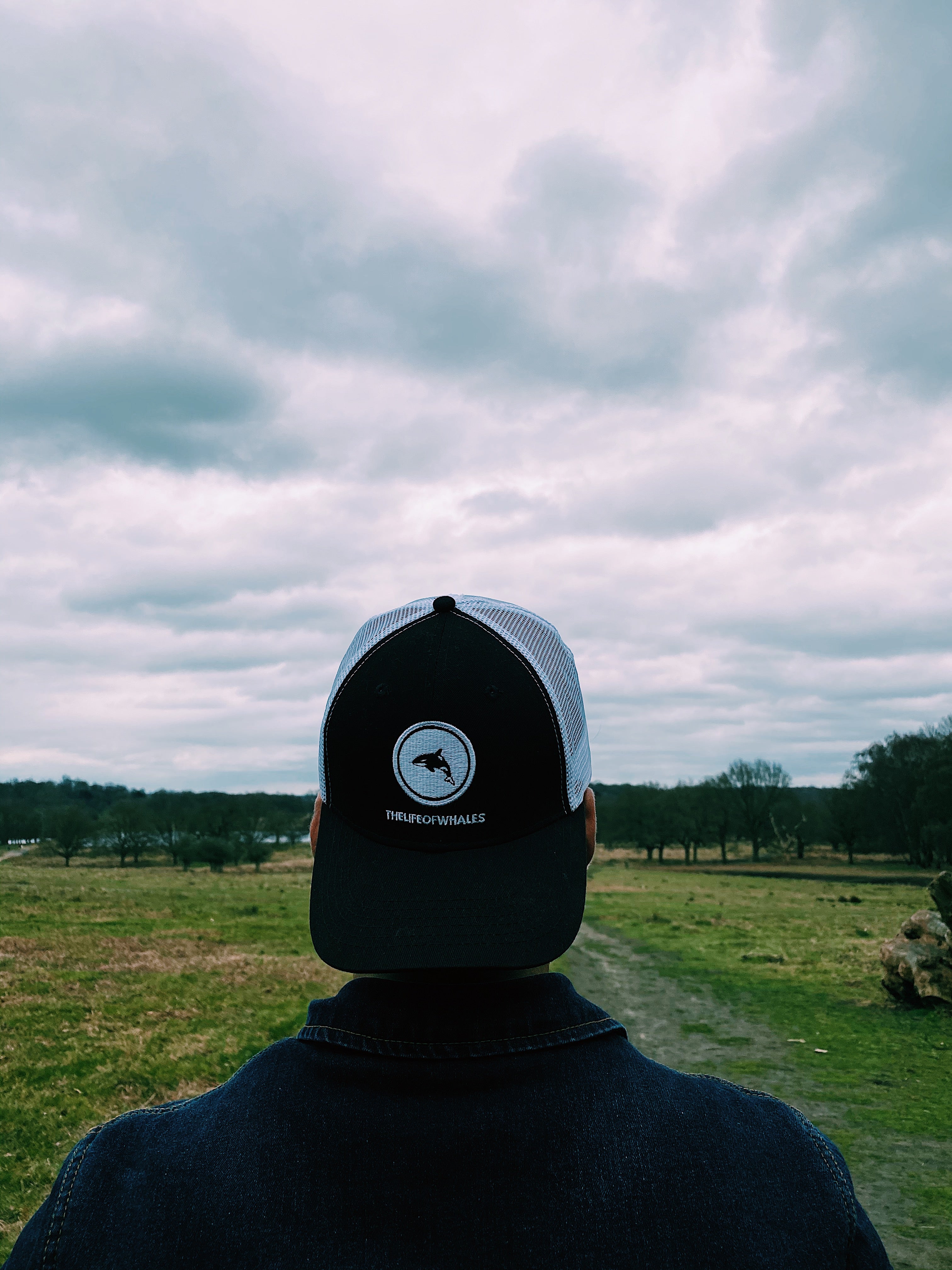 TheLifeofWhales Official Trucker Cap